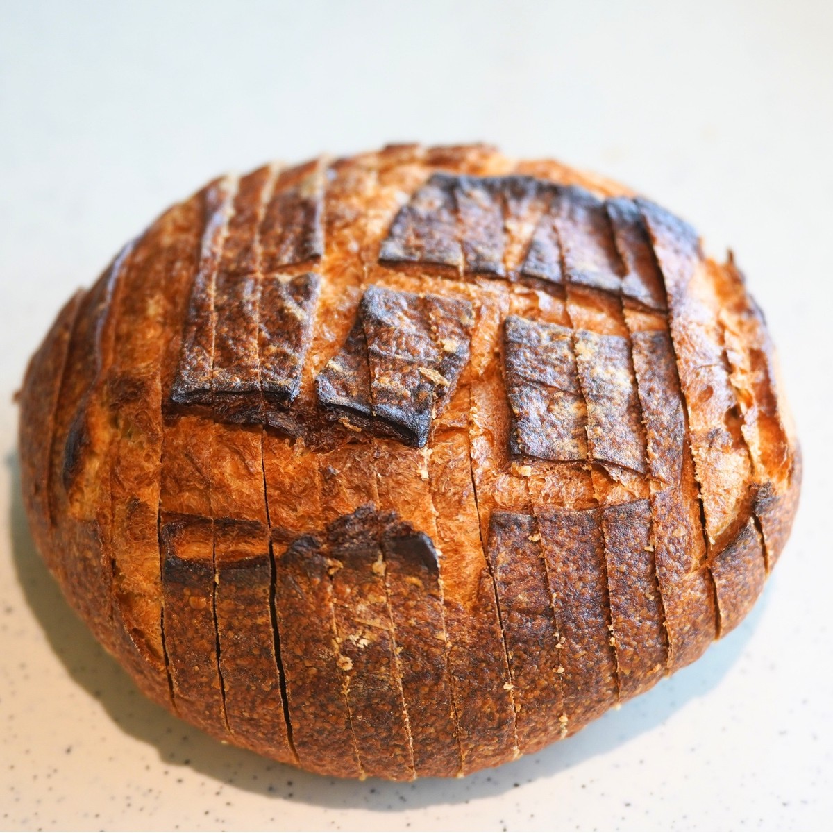 Whole Wheat Sourdough loaf